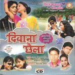Deewana Chaila - Sadhvi Purnima Ji Song Download